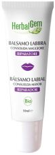 Baume à lèvres Consoude Major Bio 10 ml