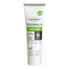 Dentifrice Menthe Fraîche 75 ml