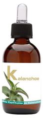 Kalanchoé 50 ml