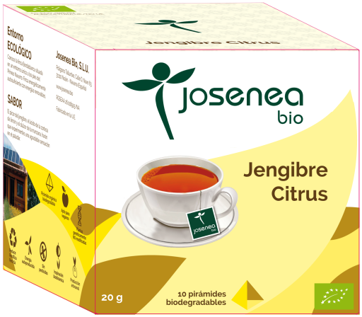 Sachet de 10 pyramides au gingembre et aux agrumes Bio