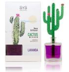 Désodorisant diffuseur de cactus à la lavande 90 ml