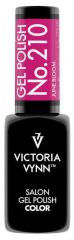 Gel de vernis