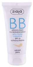 BB crème peaux grasses et mixtes SPF15 50 ml