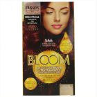 Teinte Bloom Couleur Crème