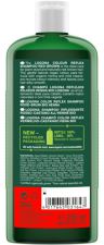 Shampooing pour Cheveux Châtains à Roux Henné Bio 250 ml