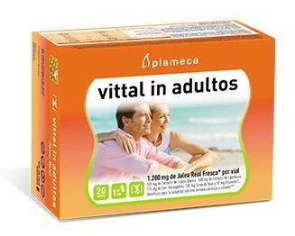 Vittal chez les adultes 20 ampoules