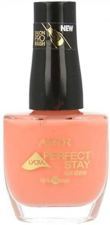 Vernis à Ongles Perfect Stay Gel Shine