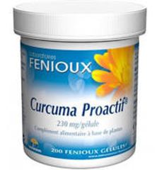 Proactif Curcuma 230mg 90 Gélules