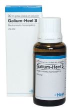 Galium S Gouttes 30 ml