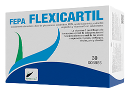 Flexicartil 100 gr