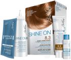 Traitement de couleur de cheveux Shine-On Hs