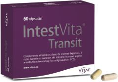 Intestvita Transit 60 Gélules