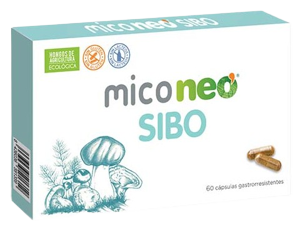 MicoNeo SIBO 60 Gélules