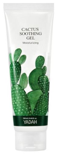 Gel apaisant cactus