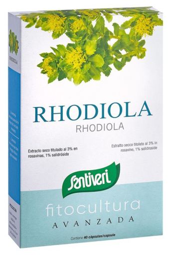 Rhodiola 40 Gélules