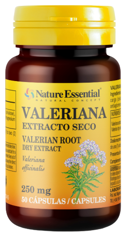 Valériane 250 mg 50 Gélules