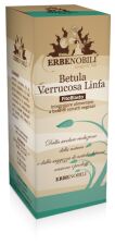 Betula Verrucosa Lymphe Phytoblaste 50 ml