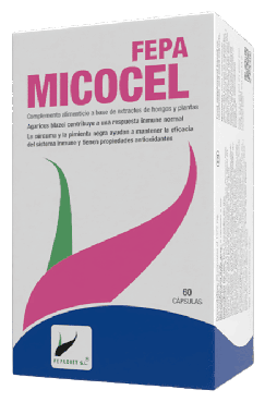 Micocel 60 Gélules