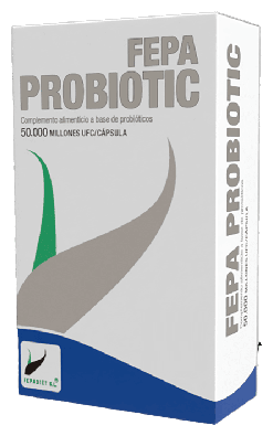 Probiotique 10 Gélules