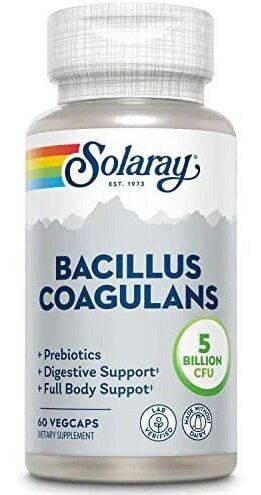 Bacillus coagulans 60 Gélules