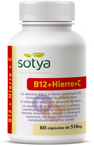 B12 + Fer + C 60 Gélules 510 mg