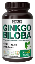 Ginkgo Biloba 60+30 Gélules