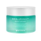 Crème Hydratante Cicaluronique 120 ml