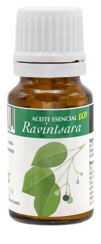 Huile Essentielle Ravintsara 10 ml