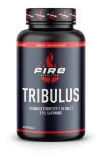 Tribulus Terrestris 90% Saponines 60 Gélules