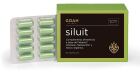 Siluit 60 Gélules