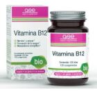 Vitamine B12 120 comprimés