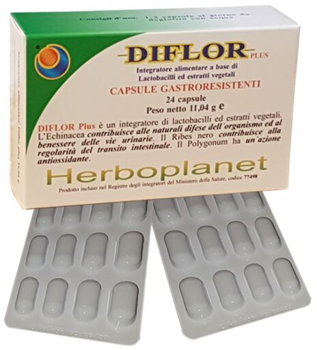 Diflor Plus 24 Gélules