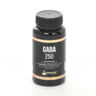 Gaba 250 mg 60 Gélules