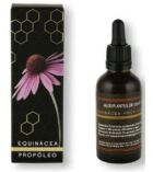 Extrait d&#39;Échinacée-Propolis 50 ml