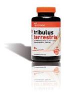 Tribulus Terrestris 90 Comprimés