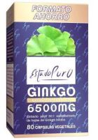 Ginkgo 6500 mg 80 Gélules