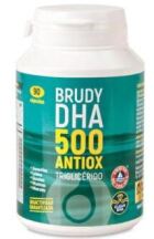 Brudy Dha 500 Antiox 90 Gélules