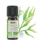 Huile Essentielle d&#39;Arbre à Thé 10 ml Bio