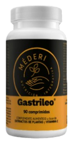 Gastrileo 90 Comprimés