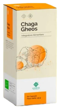 Chaga 60 gélules