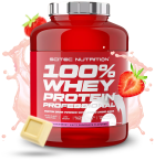 100% Whey Protein Professionnel 30 gr