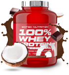 100% Whey Protein Professionnel 30 gr