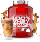 100% Whey Protein Professionnel 30 gr