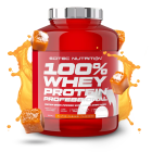 100% Whey Protein Professionnel 30 gr